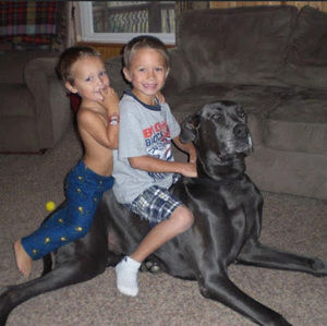 Meet your Posher, Robbie